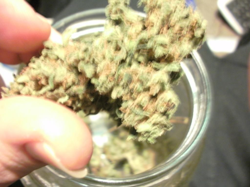 lemonkush_zps35155cfb.jpg