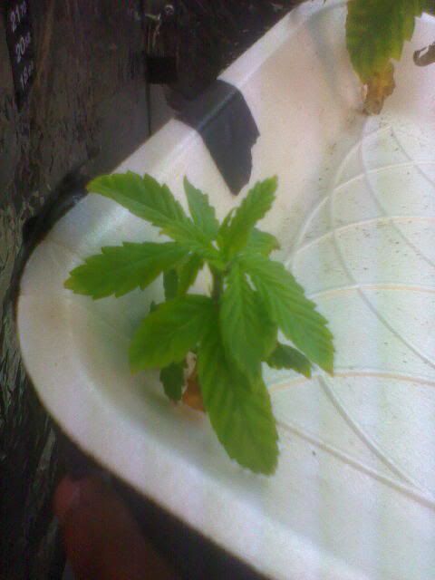 Apr11_0005.jpg