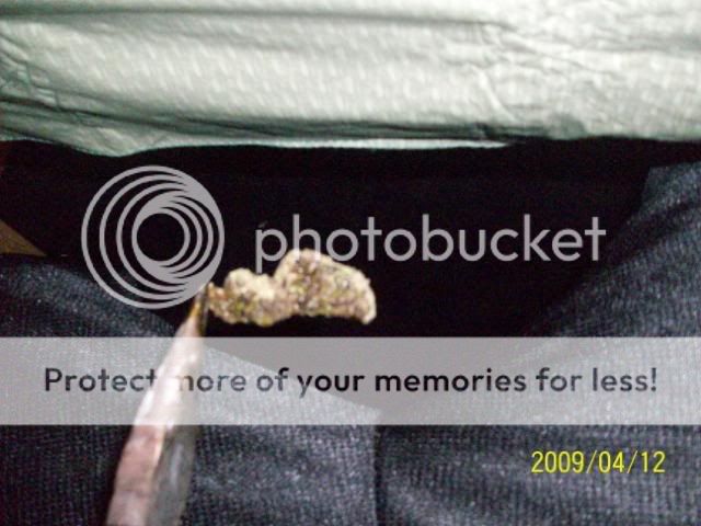 128_0508.jpg