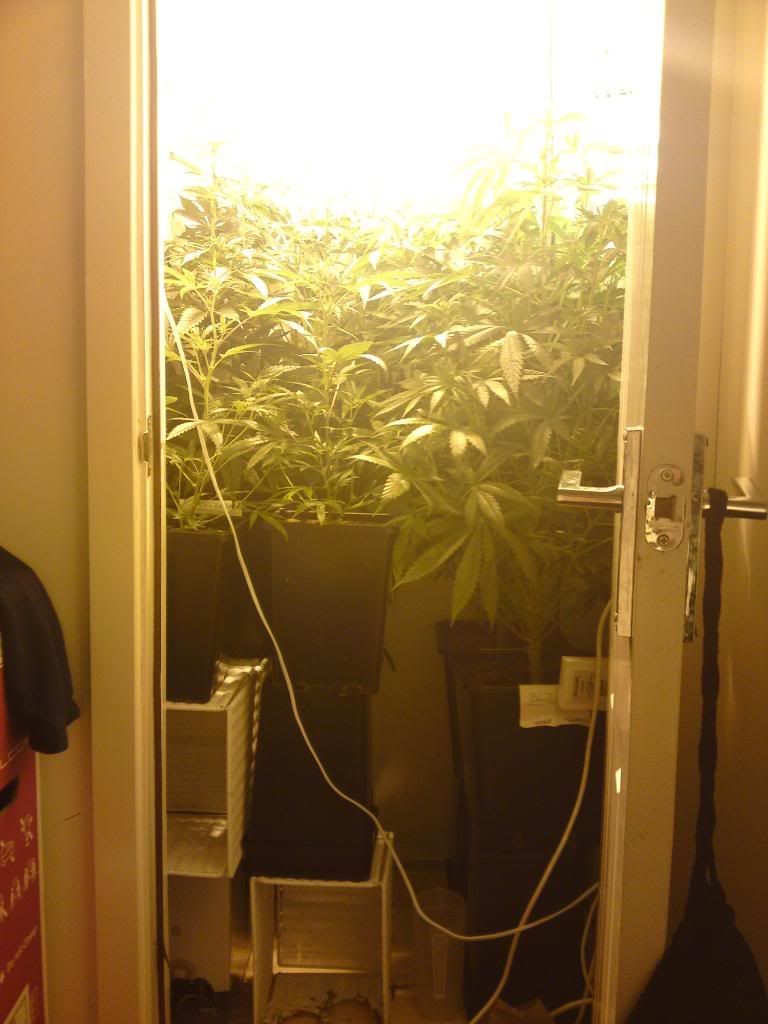 21012010184.jpg