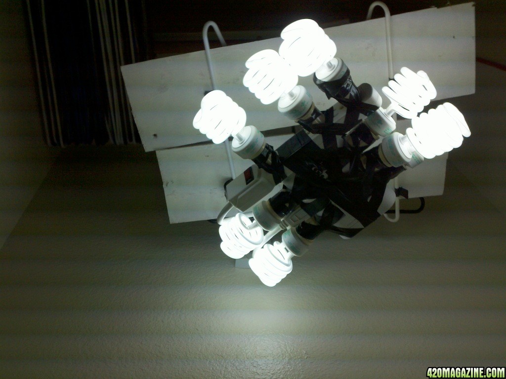 lightsunder.jpg