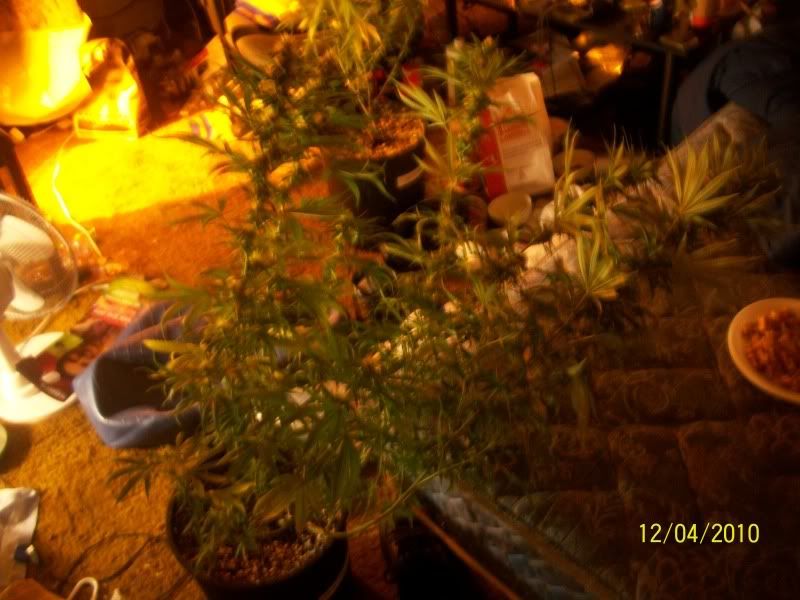 104_2327.jpg