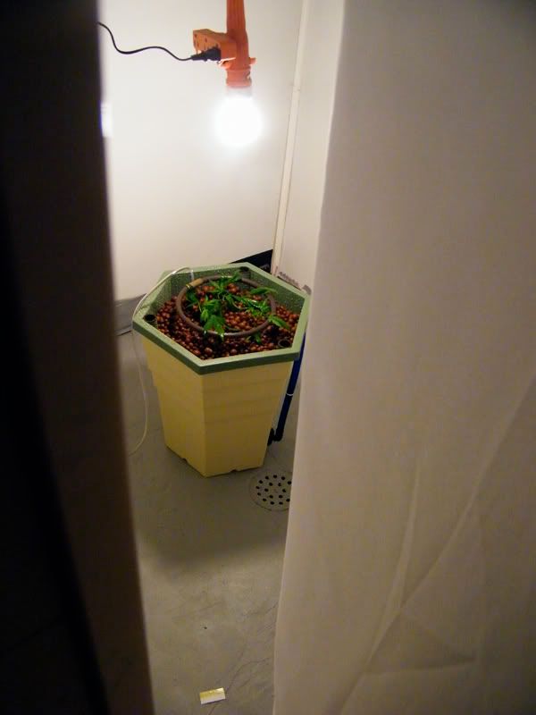 DSCF6857.jpg