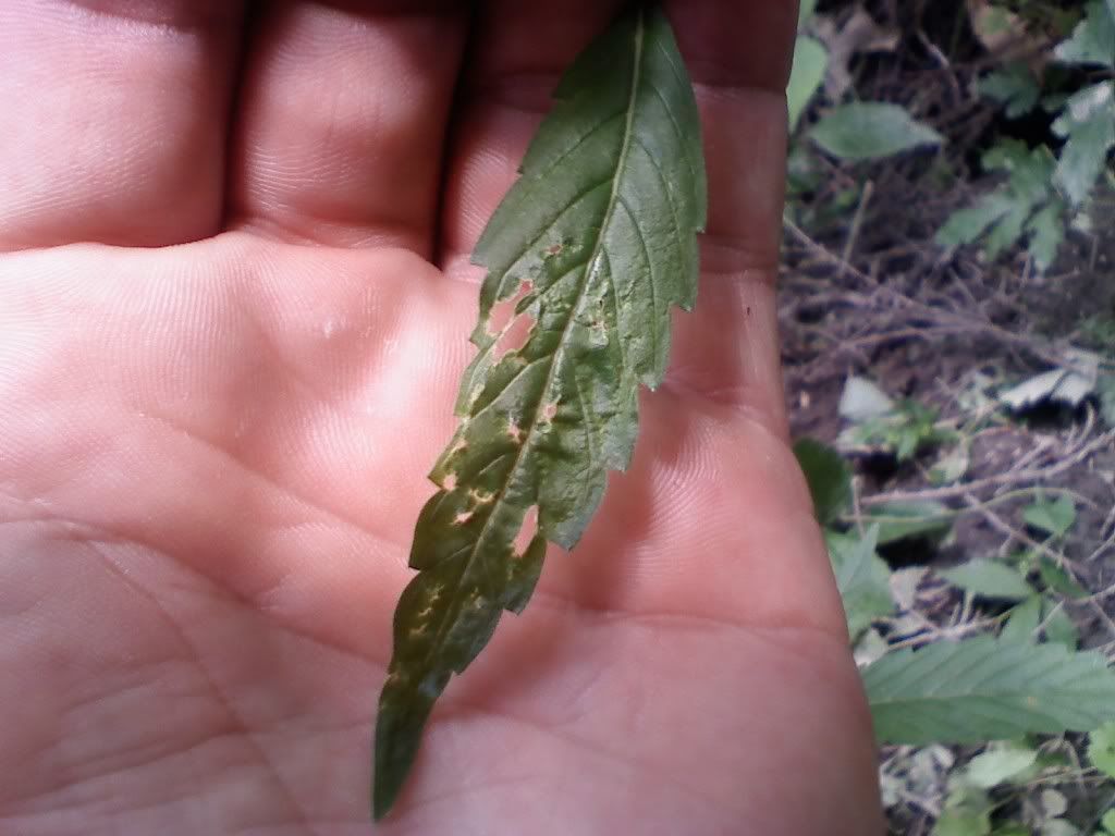0615091408.jpg