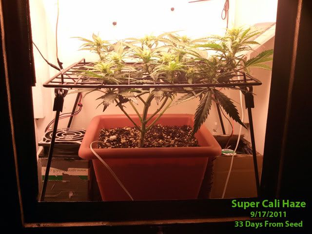 2f45f218.jpg