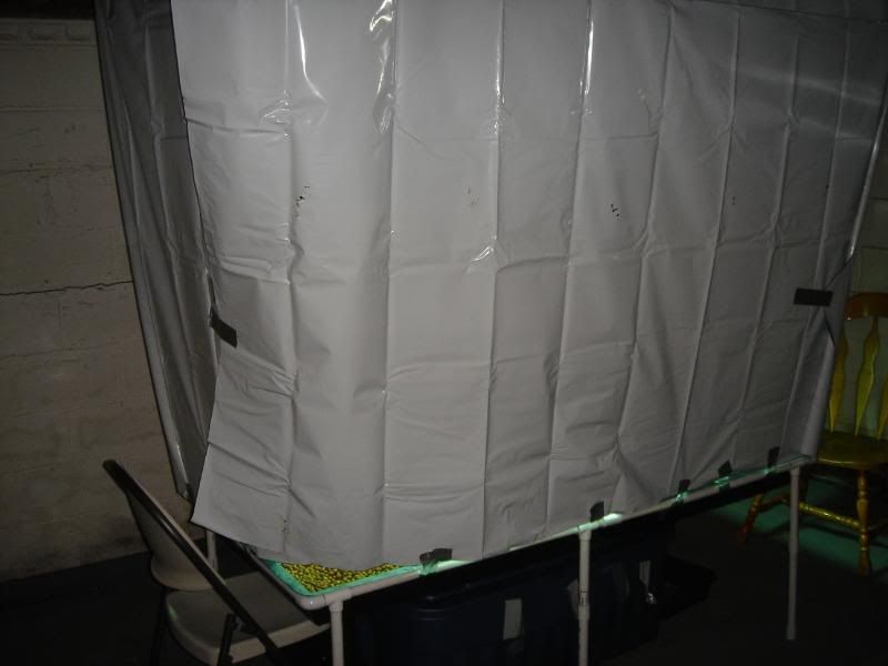015-1.jpg