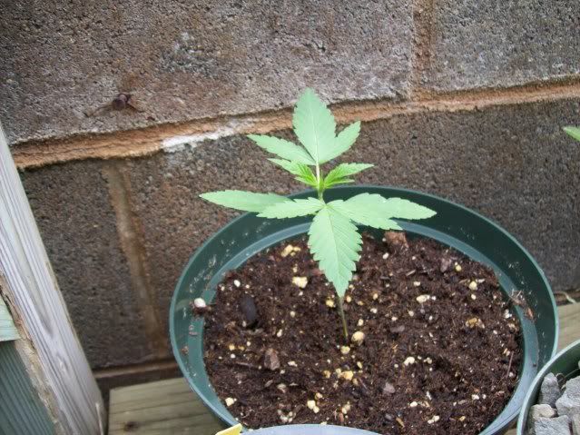 100_08371.jpg