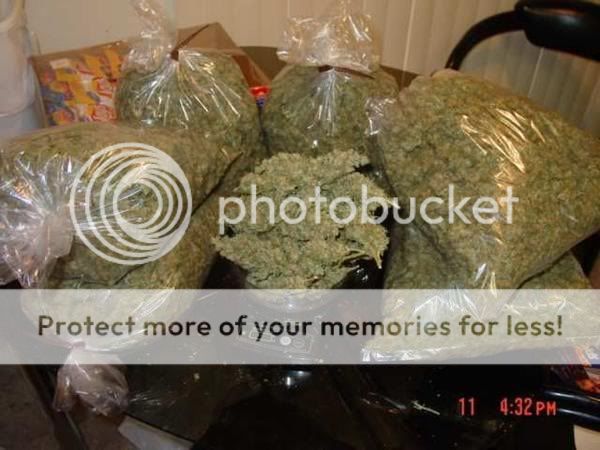 WEED.jpg