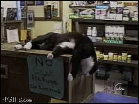 gifs_03.gif