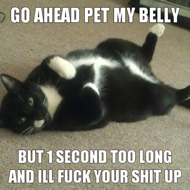 87e7c720bcf0b5459c3a731ce6301f76.jpg