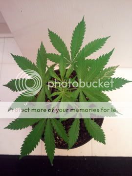 2010-08-09075330.jpg
