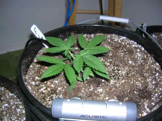 DSCN1053.jpg