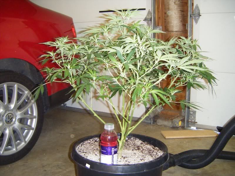 DSCF8160.jpg