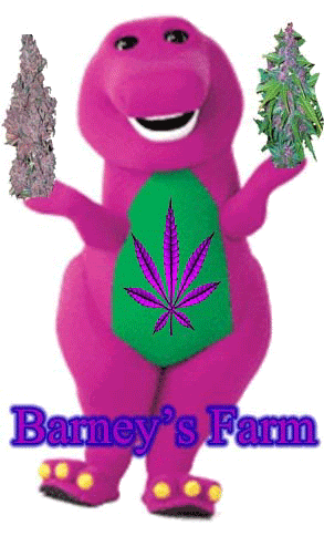hahabarney2.gif