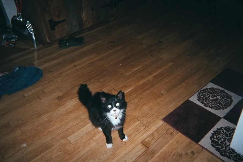 03_1A.jpg