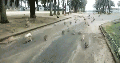 MMPh6NM.gif