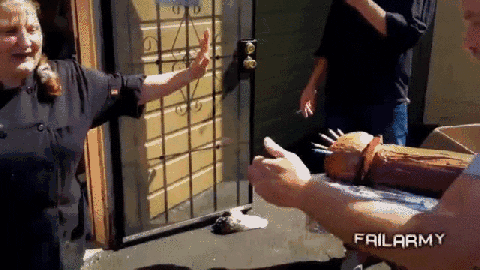 giphy.gif