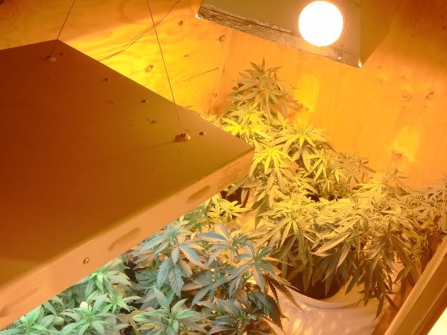 2011-06-12203702.jpg