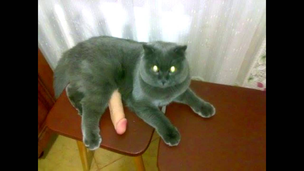 maxresdefault.jpg