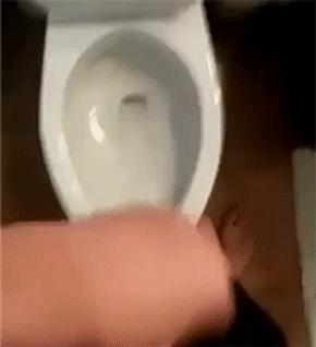 JDda2Hv.gif