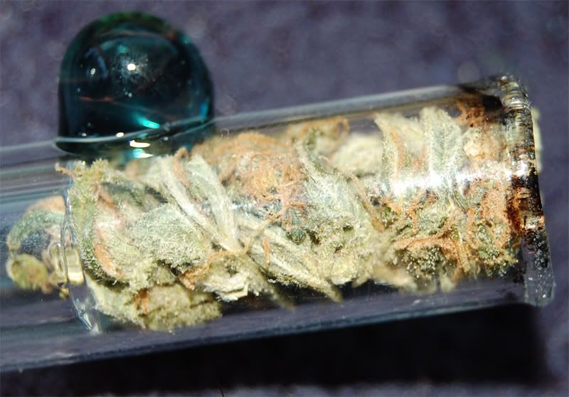ecsd_glass_pipe.jpg