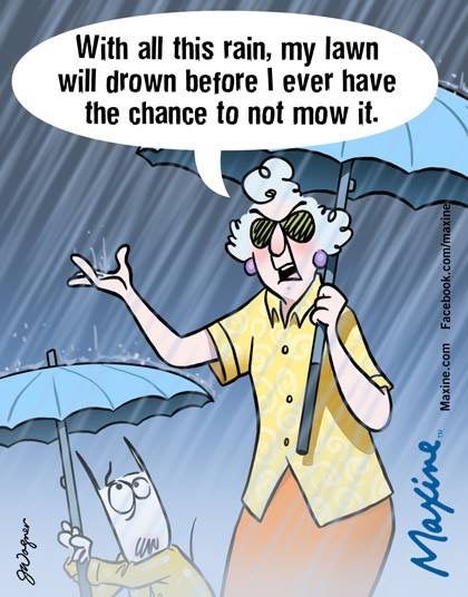a015b1ec933c005777a1186a73bdd972--lawn-funny-captions.jpg
