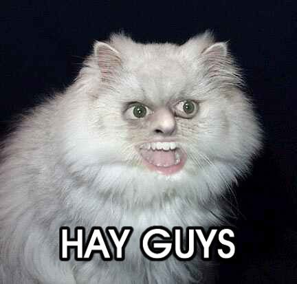 HAY_GUYS.jpg