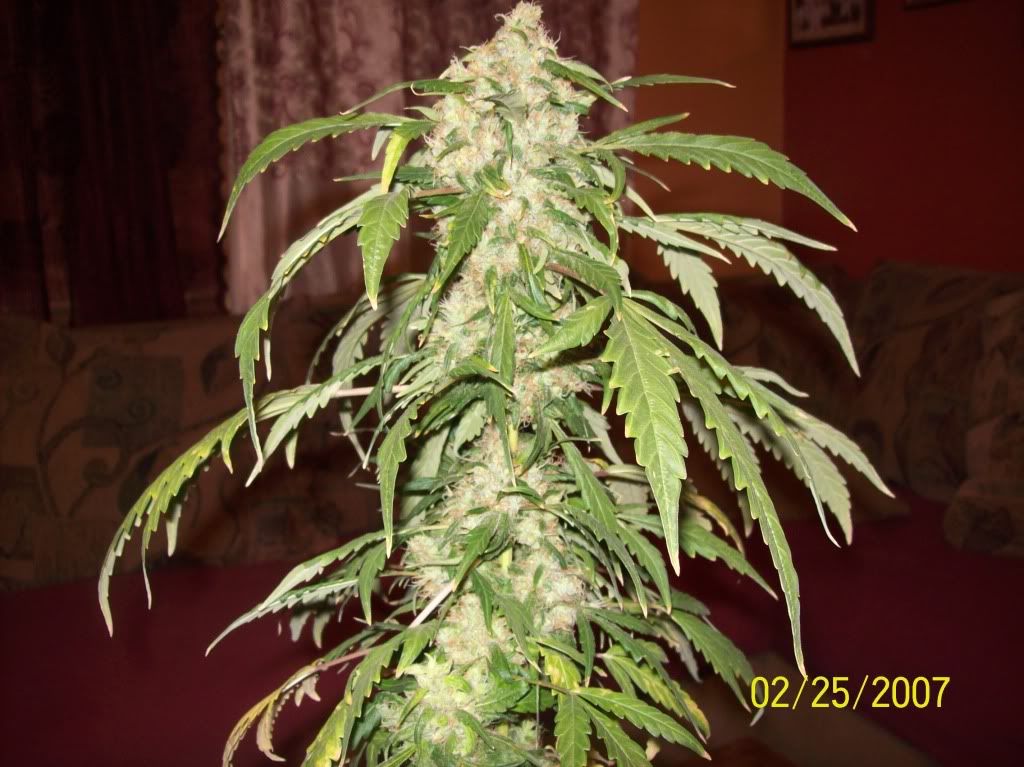 100_8329.jpg