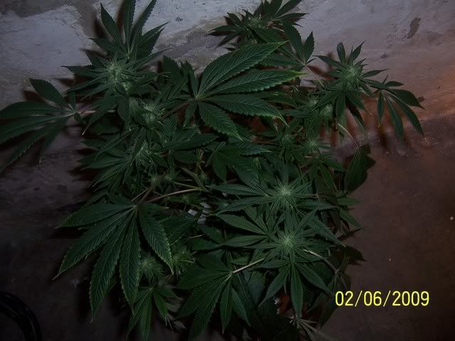 100_1278.jpg