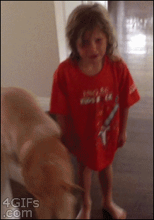 Girl-temper-tantrum-fail-wall.gif
