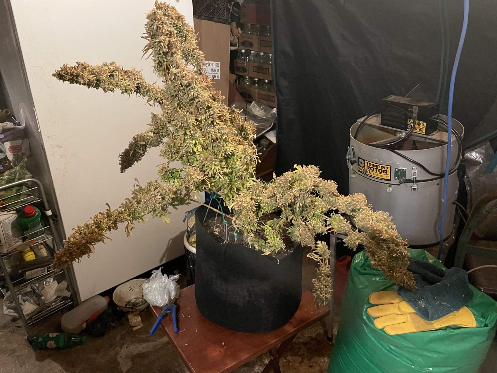 7637665_grow-journal-by-ehcndgrower_big.jpg