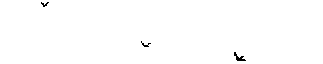 x1dcg.gif