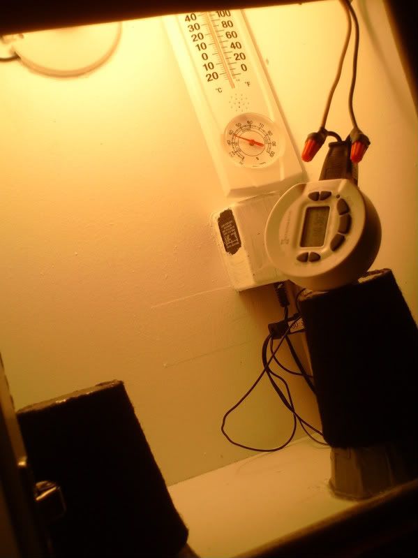 DSC02218.jpg