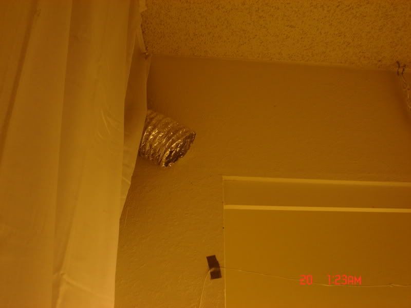 Picture036-1.jpg