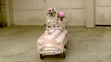 gifs_22.gif