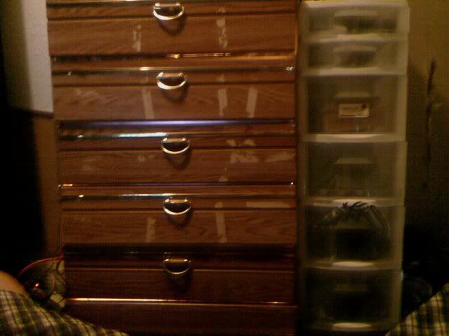 IMAG0027.jpg