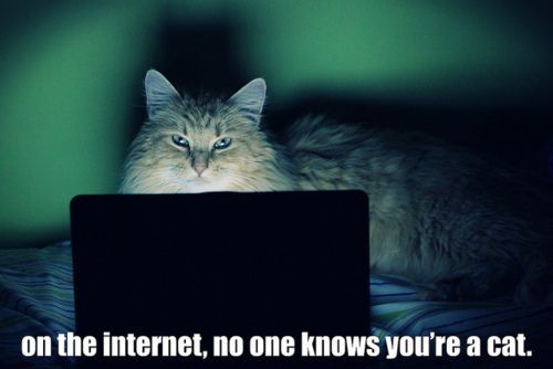 tumblr_m3f3c4ltOh1r5by75.jpg
