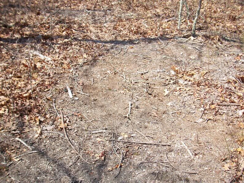 site1.jpg