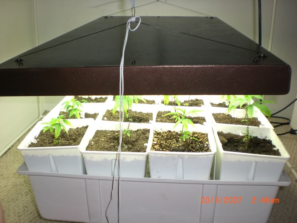 day20-5.jpg