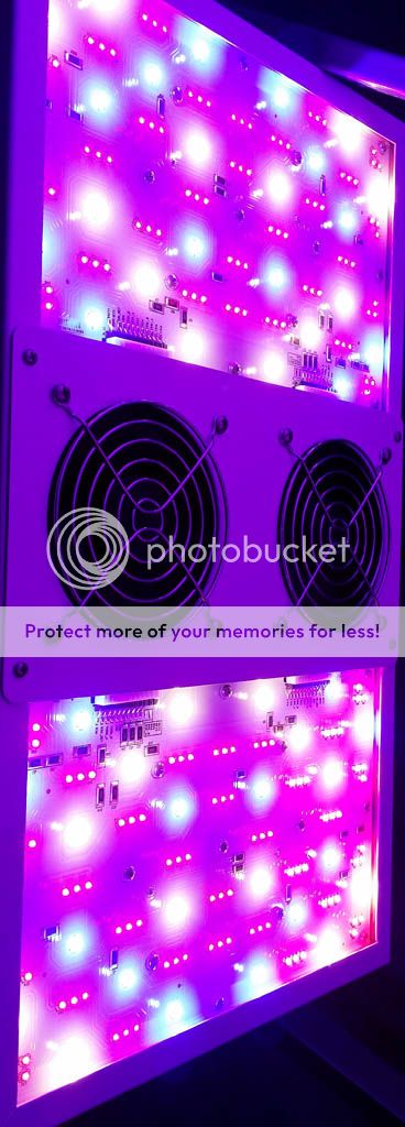 Day1lighting_zps87905452.jpg