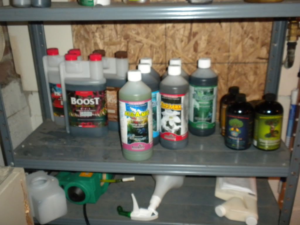 DSCN2220.jpg