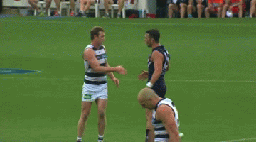 gifs_08.gif