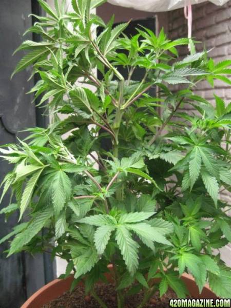 BB_CC_Agst_16_071.jpg