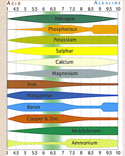 PH_CHART.jpg