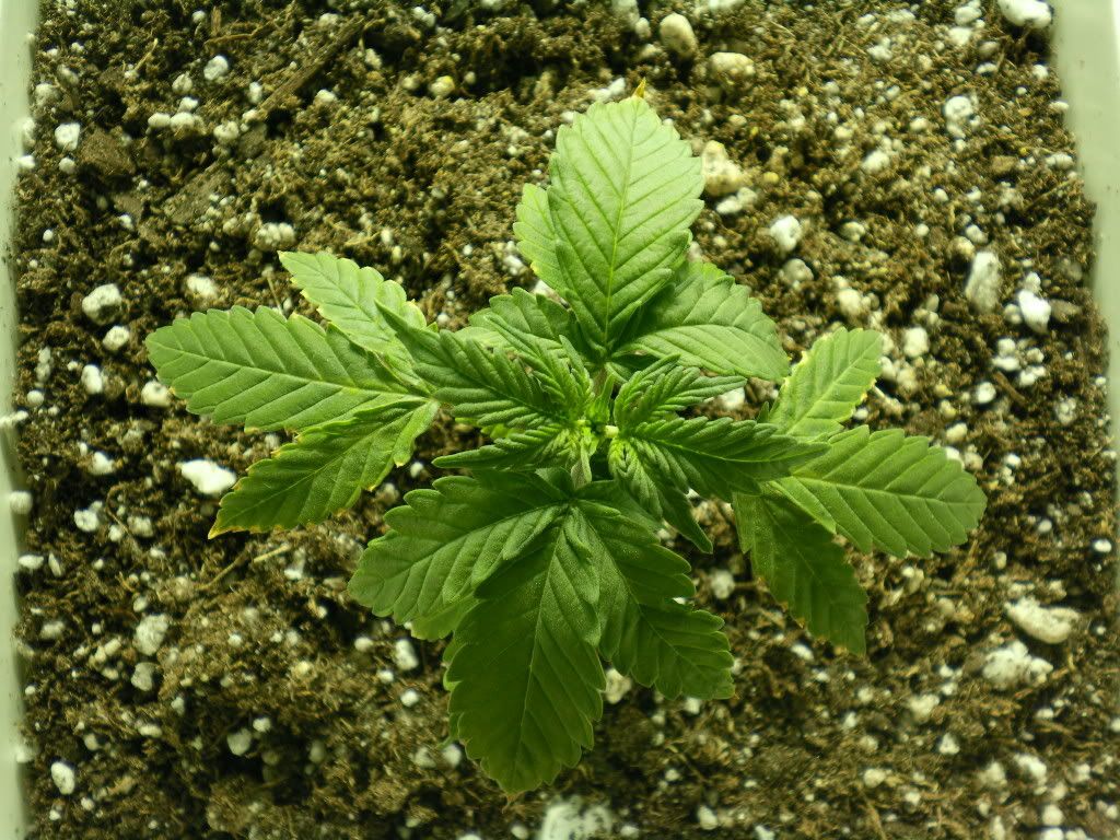 10-12-11007.jpg