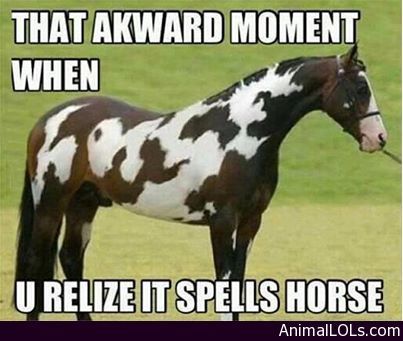 6b2cd3e0e0edb466b1fe10c384de6116--mind-blown-awkward-moments.jpg
