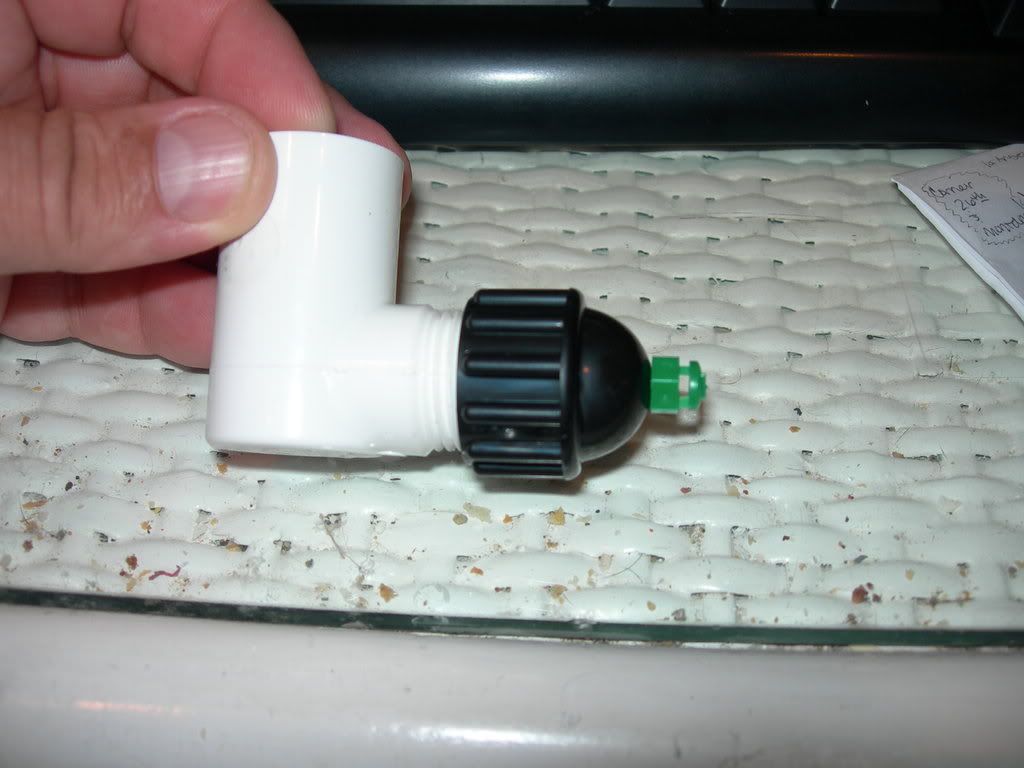 DSCN3596.jpg