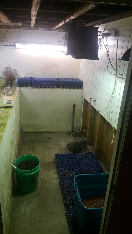 20180803_145254.jpg