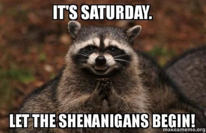 saturday-memes-45-720x468.jpg