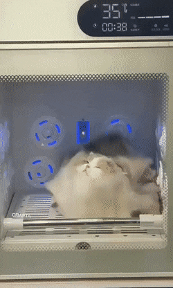 1676292151_6.gif